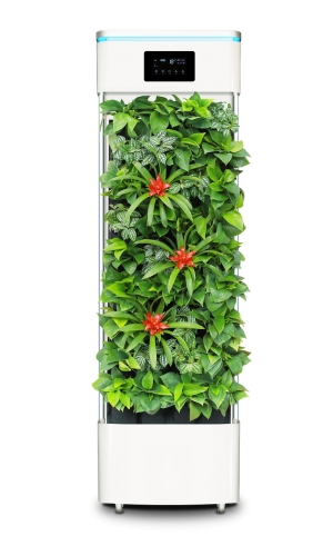 What to look for when buying Air purifiers for your house?