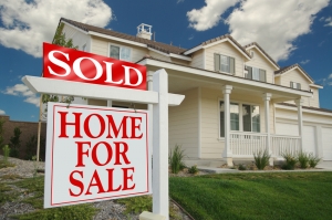 5 Ways To Save Your Commission When Mold Attacks