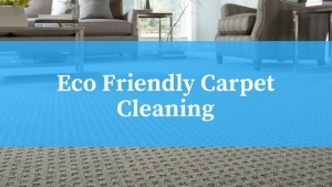 Eco-Friendly Carpet Cleaning.