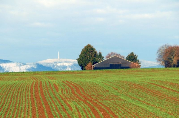 Common Misconceptions About Land Condemnation and How to Avoid Them