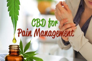 CBD oil has helped a Sciatica patient treat the endless pain