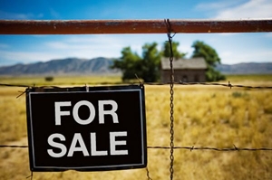 Farm Selling