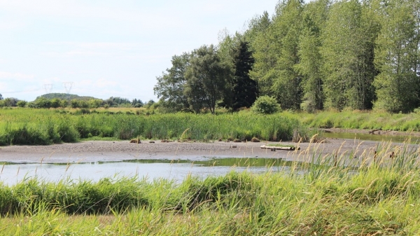 English Flood Plain