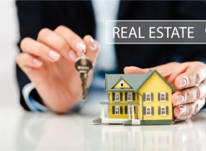 Real Estate