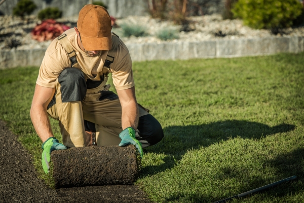 Landscaping Updates Impact More Than Just Curb Appeal