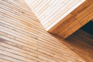 Decorative Wooden Wall Panels: Warm and Inviting Designs