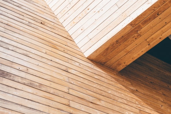 Decorative Wooden Wall Panels: Warm and Inviting Designs