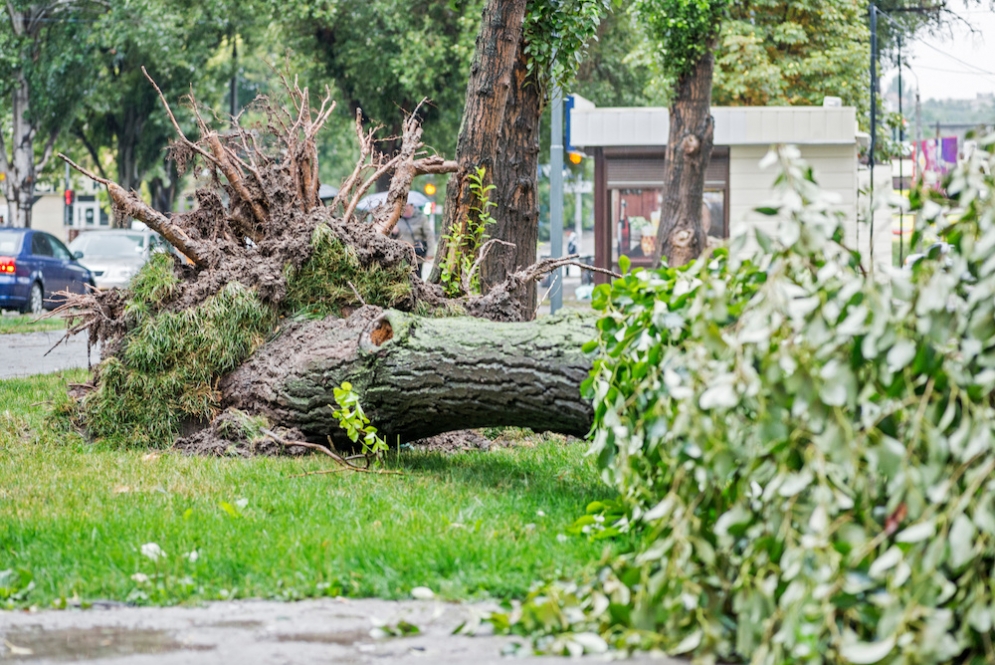 Choosing Hope in Devastation: Jason &amp; Kim Kotecki