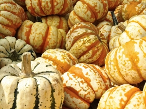 6 Creative Things to do With Your Pumpkins This Year (That Don’t Involve Pie)