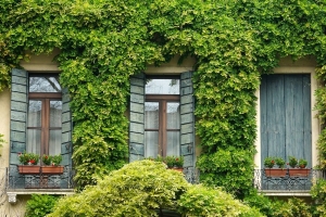 Eco-Friendly Upgrades: Simple Ways to Make Your Home More Energy-Efficient