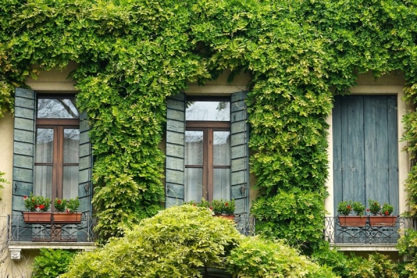 Eco-Friendly Upgrades: Simple Ways to Make Your Home More Energy-Efficient