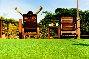 The Lazy Person’s Guide to a Well-Maintained Backyard