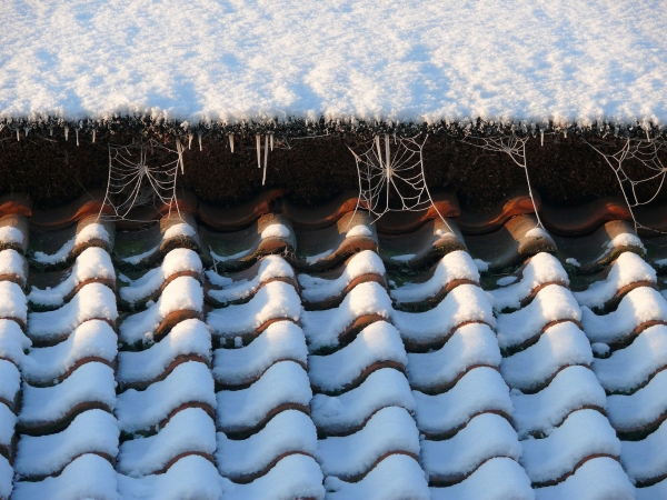 Sleet and Snow: 3 Roofing Types that Protect Your Home’s Value from the Elements