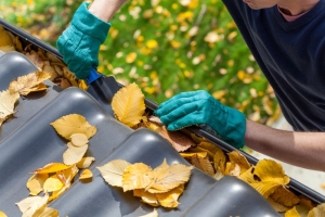 Seasonal Roof Cleaning: Best Practices For Every Climate