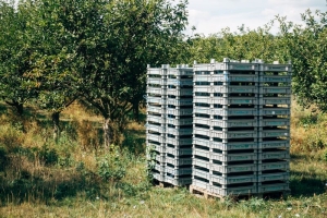 Building Better Pallets: Innovations in Design and Materials for Industrial Applications