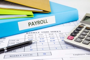 How Paystub Generators Simplify Payroll Tasks