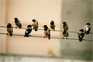 The Power of Marketing Automation in Real Estate