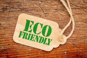 Why it’s important to make your Home as Eco-Friendly as Possible