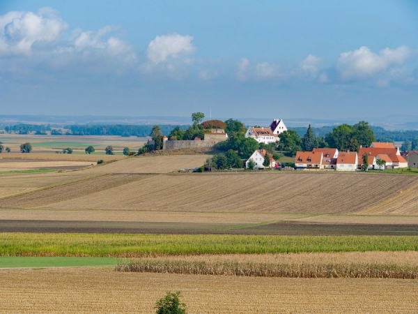 Insights on the Environment from Land Parcel Maps