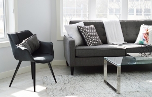 a living room couch