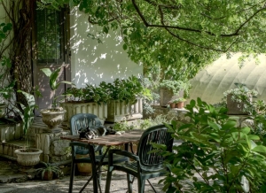 Greenery for a Greener Home: Sustainable Landscaping