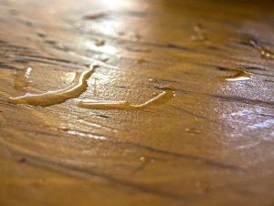 Recognizing Water Damage is the First Preventive Step