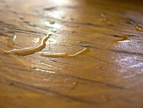 Recognizing Water Damage is the First Preventive Step