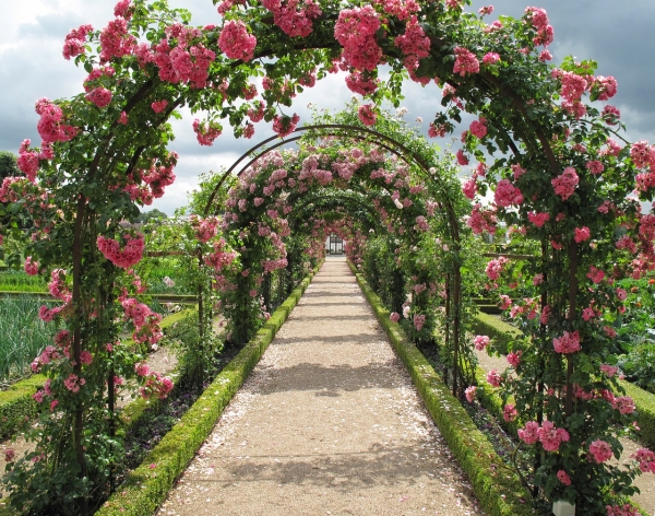 5 Ways to Make Your Backyard Look Amazing