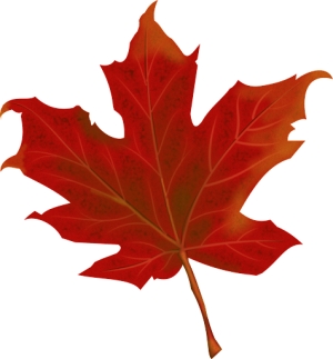 What is the cost of living in Innisfil?