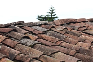 Understanding Roofing Options: A Guide for First-Time Property Buyers