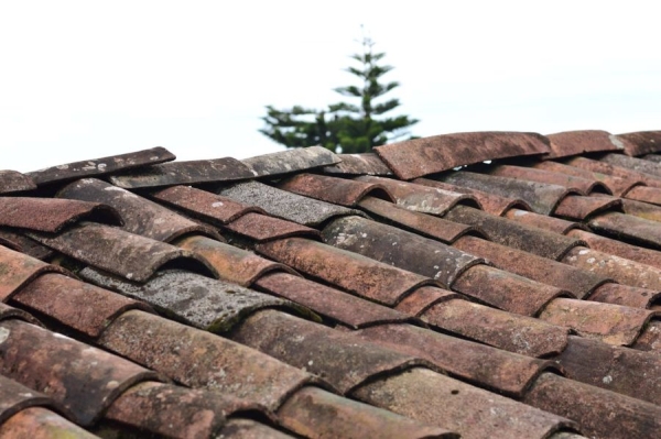 Understanding Roofing Options: A Guide for First-Time Property Buyers