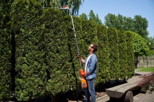 Tree And Landscaping Services For Your Home