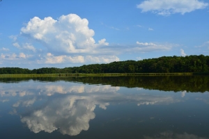 Everything You Need to Know About Living in Chesapeake, VA