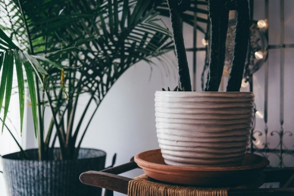 10 Tips for Creating a Calmer, More Peaceful Home