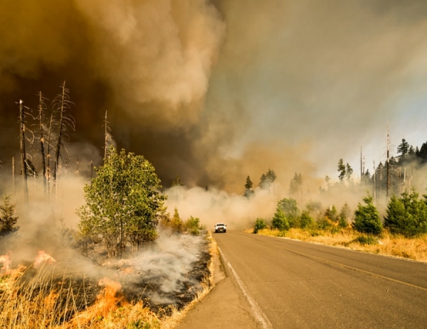 Wildfires are deadly but inevitable.