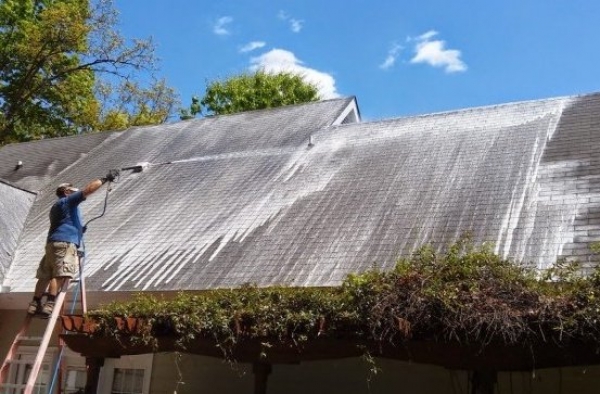 Roof Cleaning Softwash