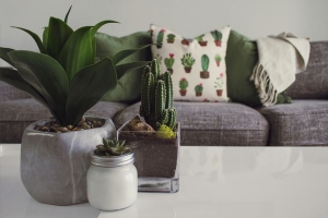 How to Decide Whether to Build a New Home or Rent: Key Considerations