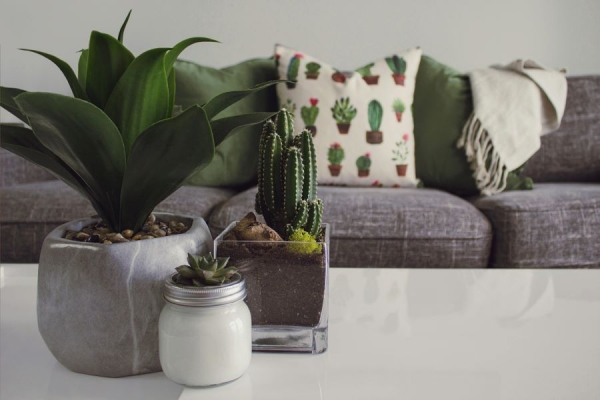 How to Decide Whether to Build a New Home or Rent: Key Considerations
