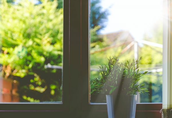 Ask the HOA Expert: Amendment Proposals, Late Fees, Window Replacements
