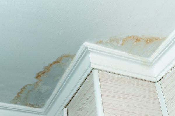 Don't miss this when contracting a water damage company