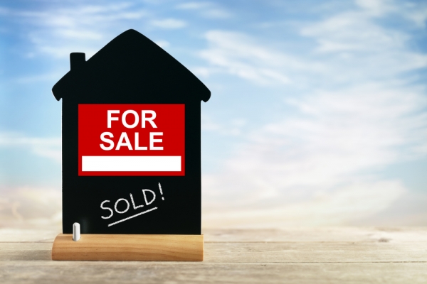 If You See A House You Like, Grab It