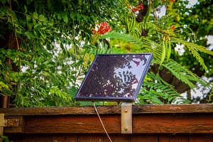 Electric vs. Solar Automatic Gates: What's The Difference?