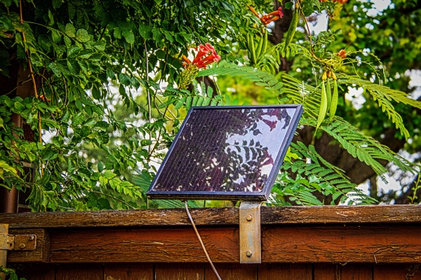 Electric vs. Solar Automatic Gates: What's The Difference?