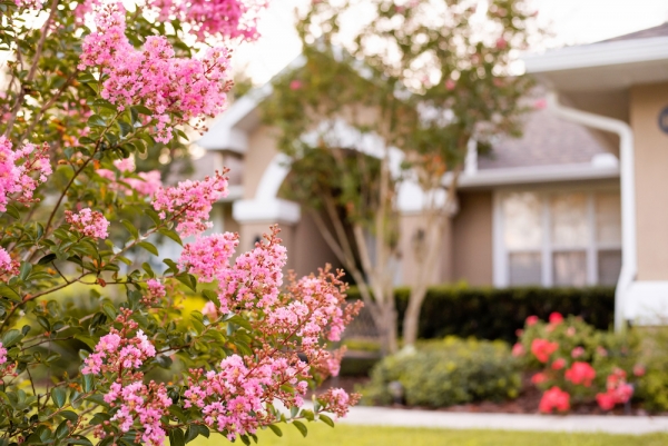 Gardening on a Budget: How to Start Your Garden Without Spending a Fortune
