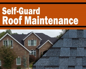 Self-Guard Towards Roof Maintenance