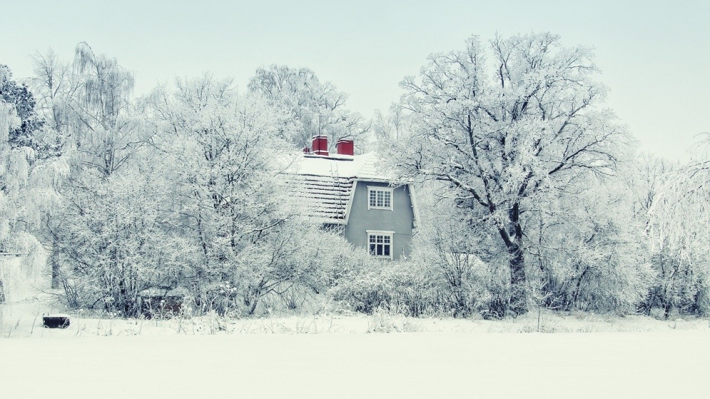 Ask Denise: Warming Buyers to “Freezer Burnt” Listings