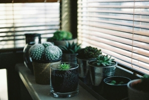 Everything You Need to Know Before Buying Window Blinds