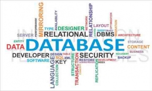 Four Basic CRM Rules