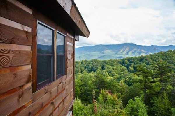 How to Choose the Right Property for Maximum Rental Income