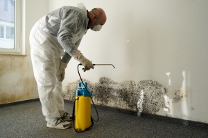 5 Signs You Have Water Damage In Your Home